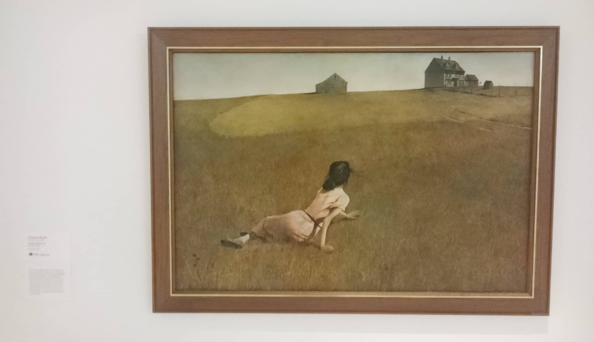 Ett foto av tavlan Christinas värld, tagen där den hängde på Museum of Modern Art i New York.