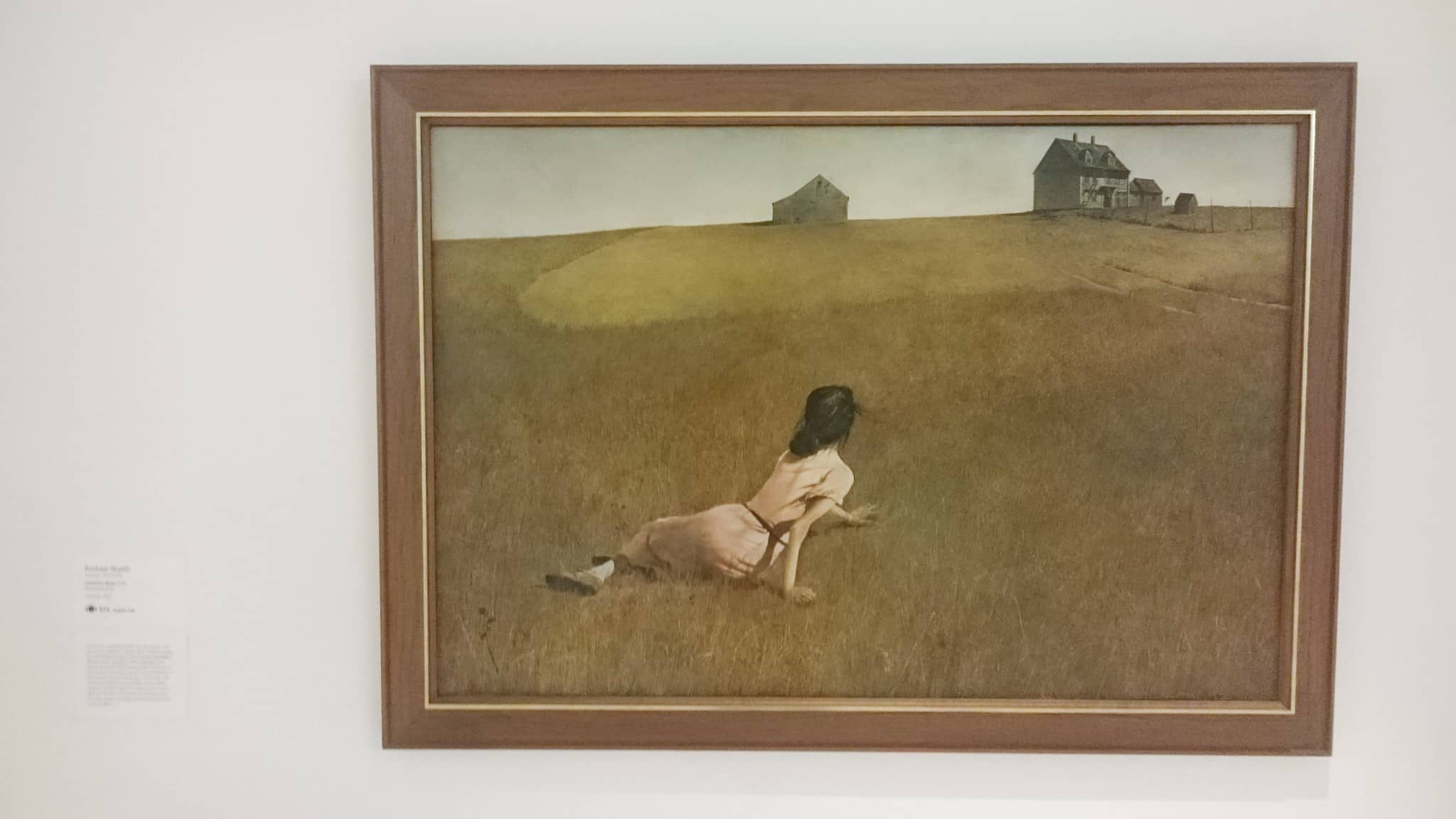 Ett foto av tavlan Christinas värld, tagen där den hängde på Museum of Modern Art i New York.